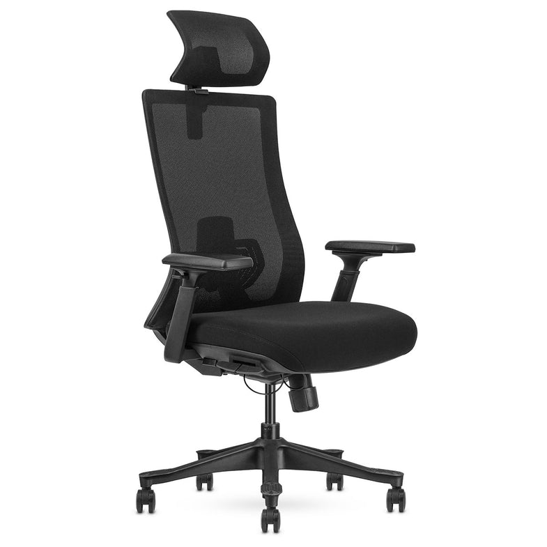 DM9 Ergonomic Mesh High Back Office Chair