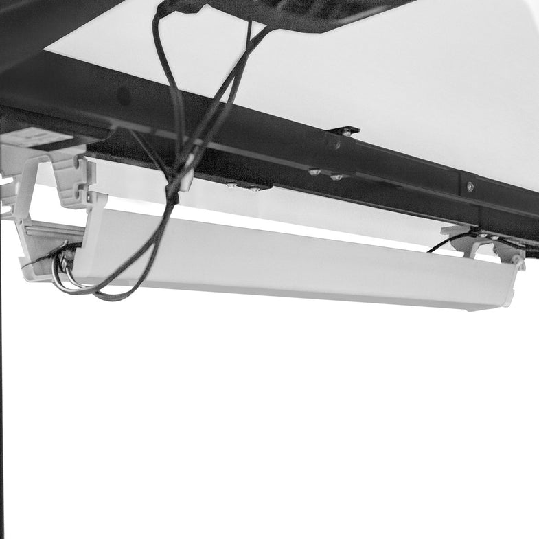 Walkingpad™ M2 Treadmill with Ergodesk Automatic White Standing Desk 1500mm + Cable Management Tray + DM9 Chair