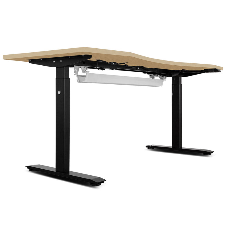 Walkingpad™ M2 Treadmill with Ergodesk Automatic Oak Standing Desk 1500mm + Cable Management Tray + DM9 Chair