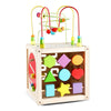 Multi Activity Cube